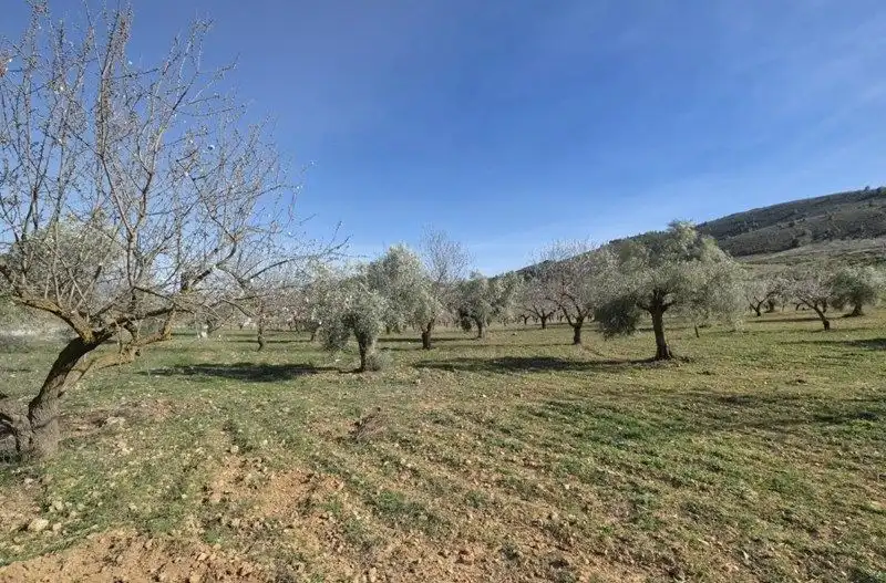 Terreni e lotti in vendita a Travesia Jose Mariano Vallejo, imagen 33