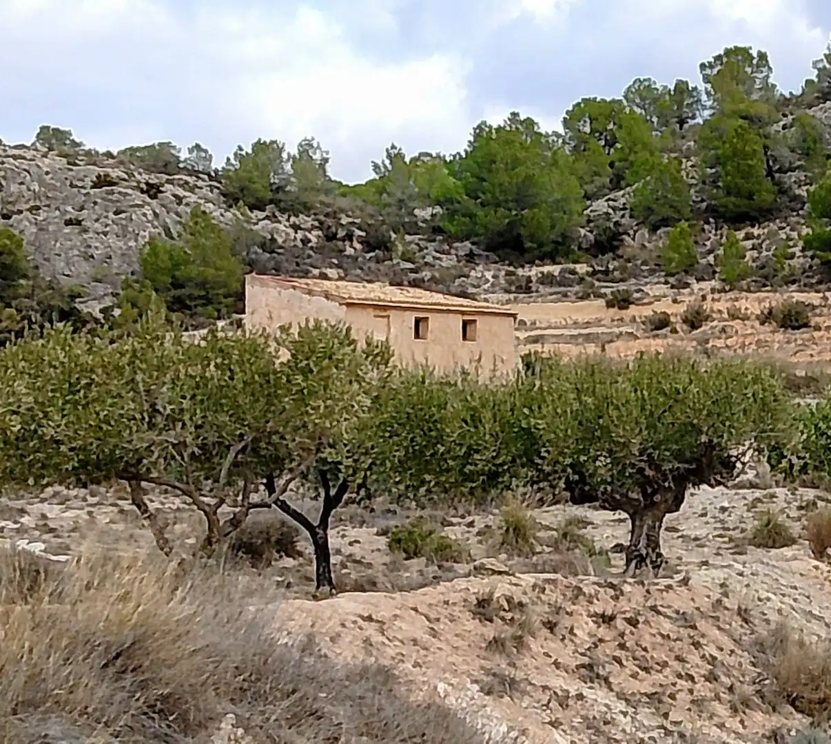 Casa rustica con giardino in vendita a Lugar Castillo