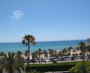 Garden of Flat to rent in Alicante / Alacant  with Air Conditioner and Terrace