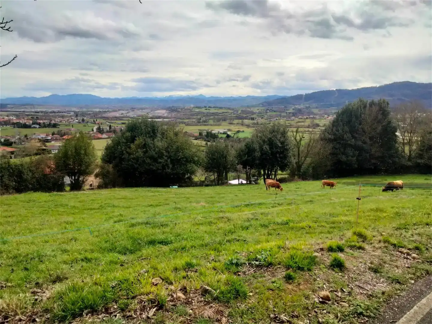 Casa o chalet en venta en Llanera