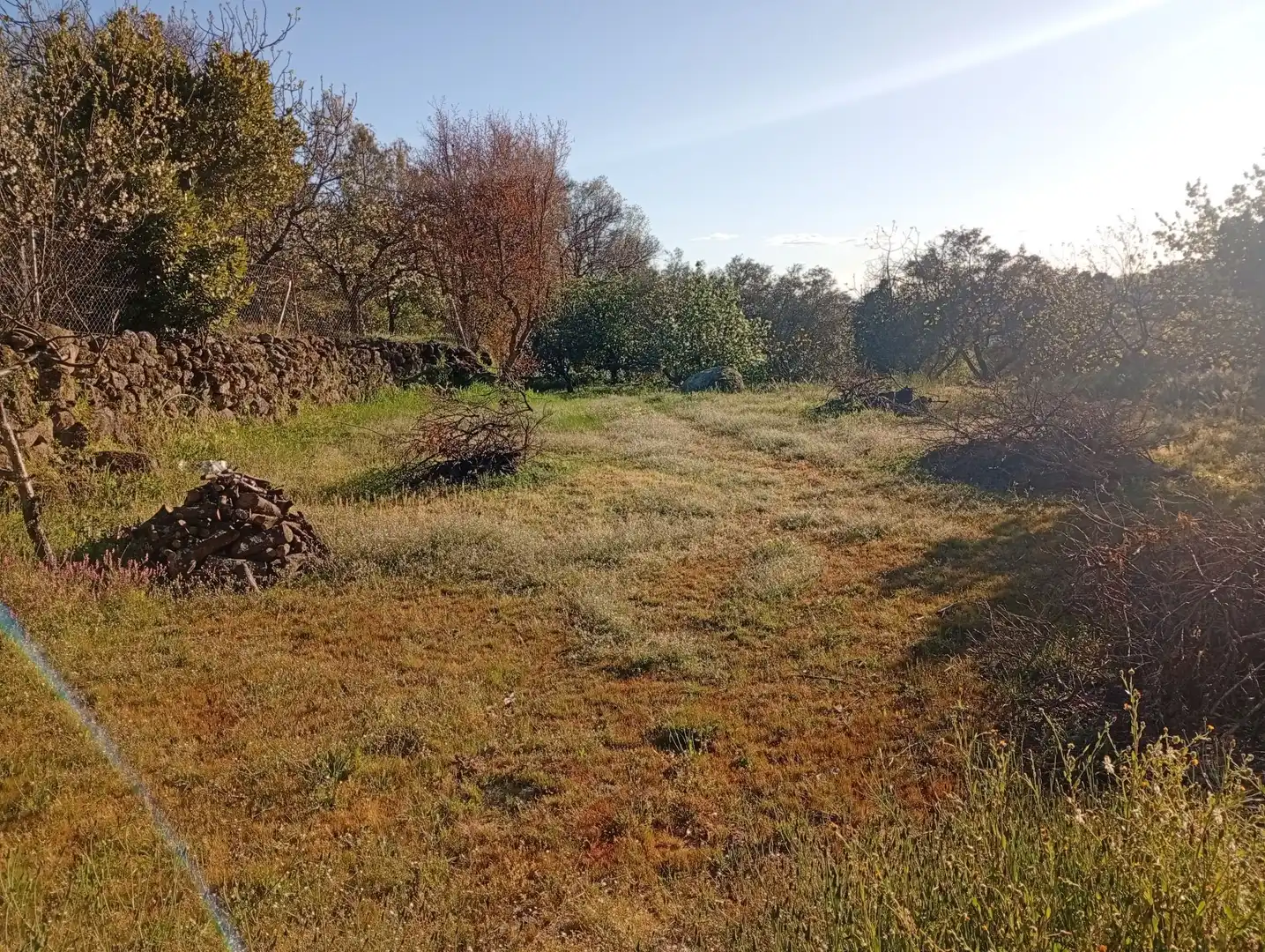 Terreno en venta en Valverde de la Vera