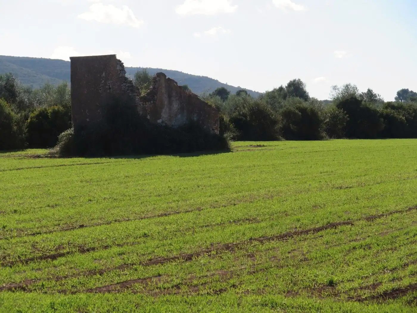 Rural land for sale in Godall, imagen 8