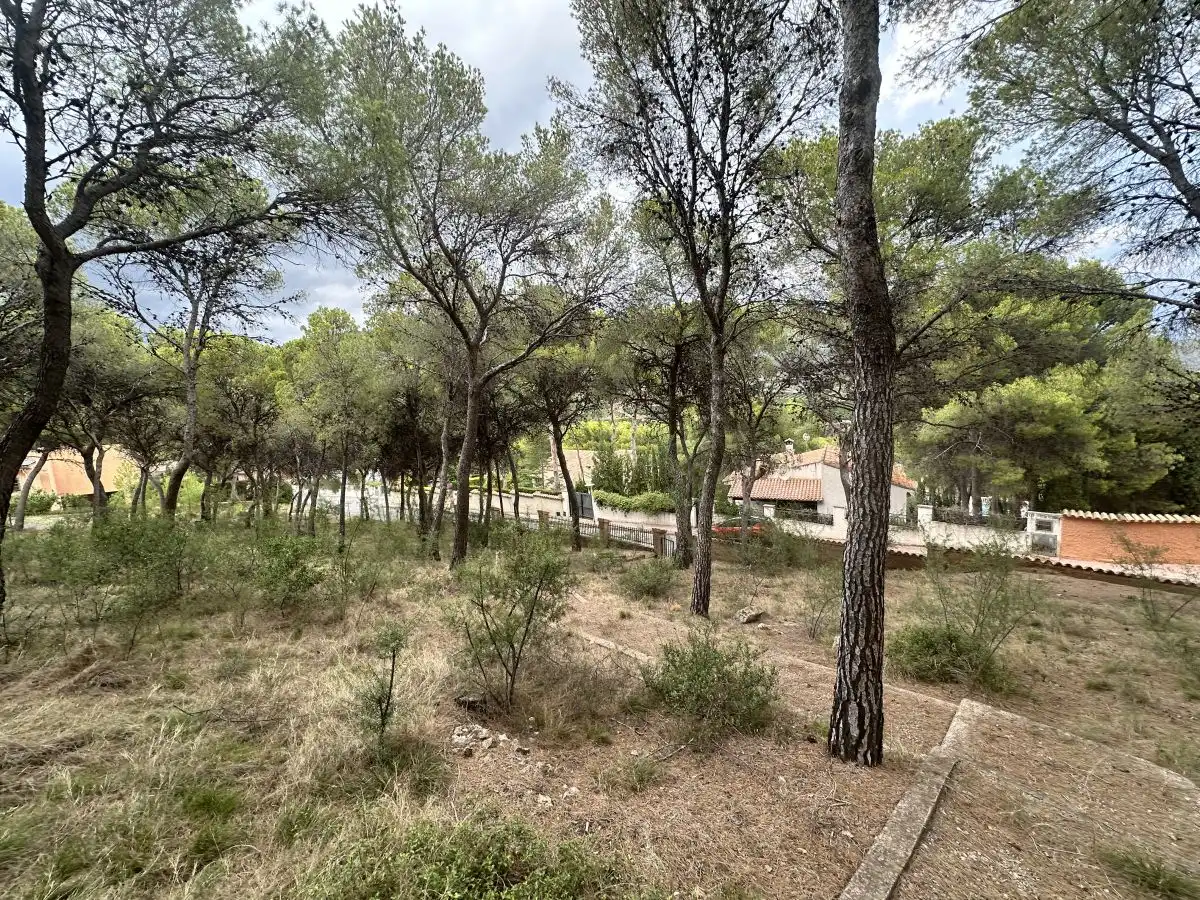 Wohnbaugrundstück zum Verkauf in Torres Torres, imagen 31