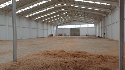 Foto 4 von Fabrikhallen zur Miete in Pedanías - Extrarradio,  Albacete Capital