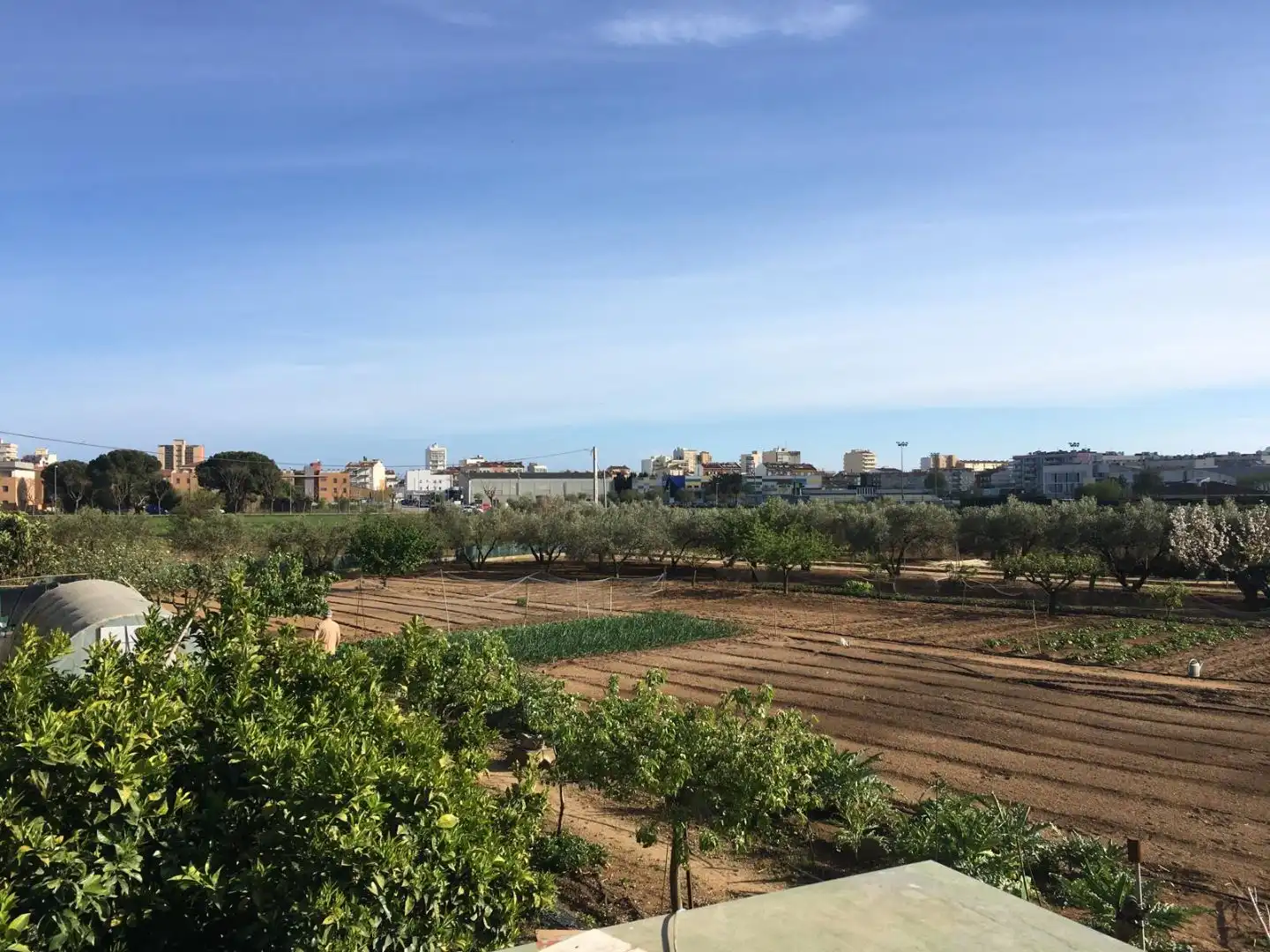Jardín de Terreno en venta en Calonge i Sant Antoni