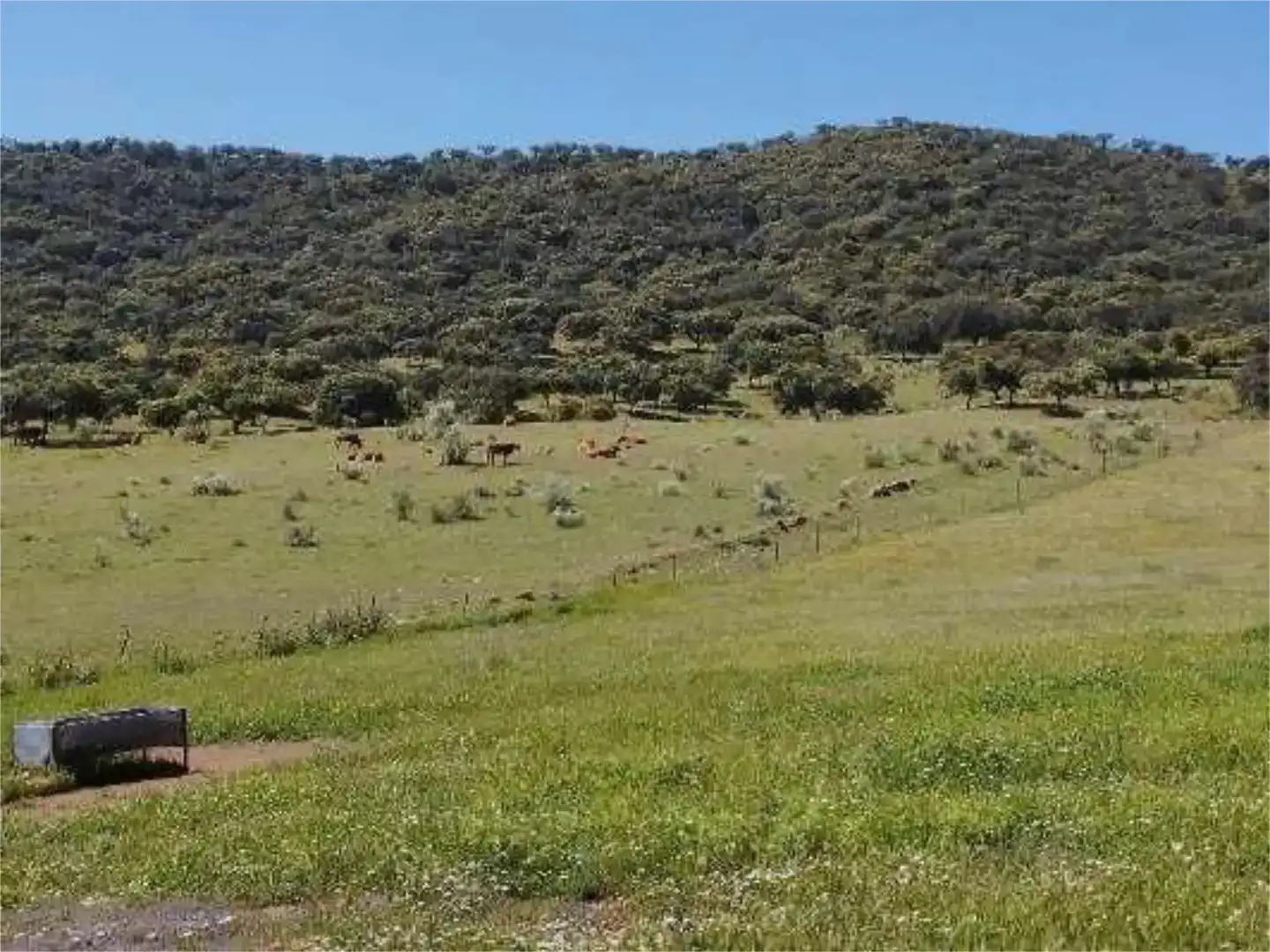 Terreno en venta en Montemolín, Badajoz
