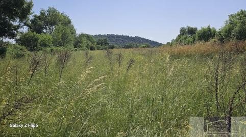 Foto 4 de Finca rústica en venda a Miraflores de la Sierra, Madrid