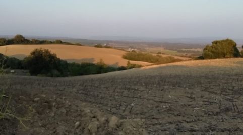 FINCA RÚSTICA EN LA ZONA DEL ABEJARUCO, imatge 4