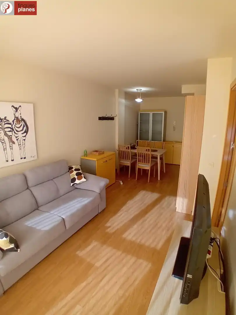 Living room of Duplexes for sale in Coll de Nargó  with Balcony