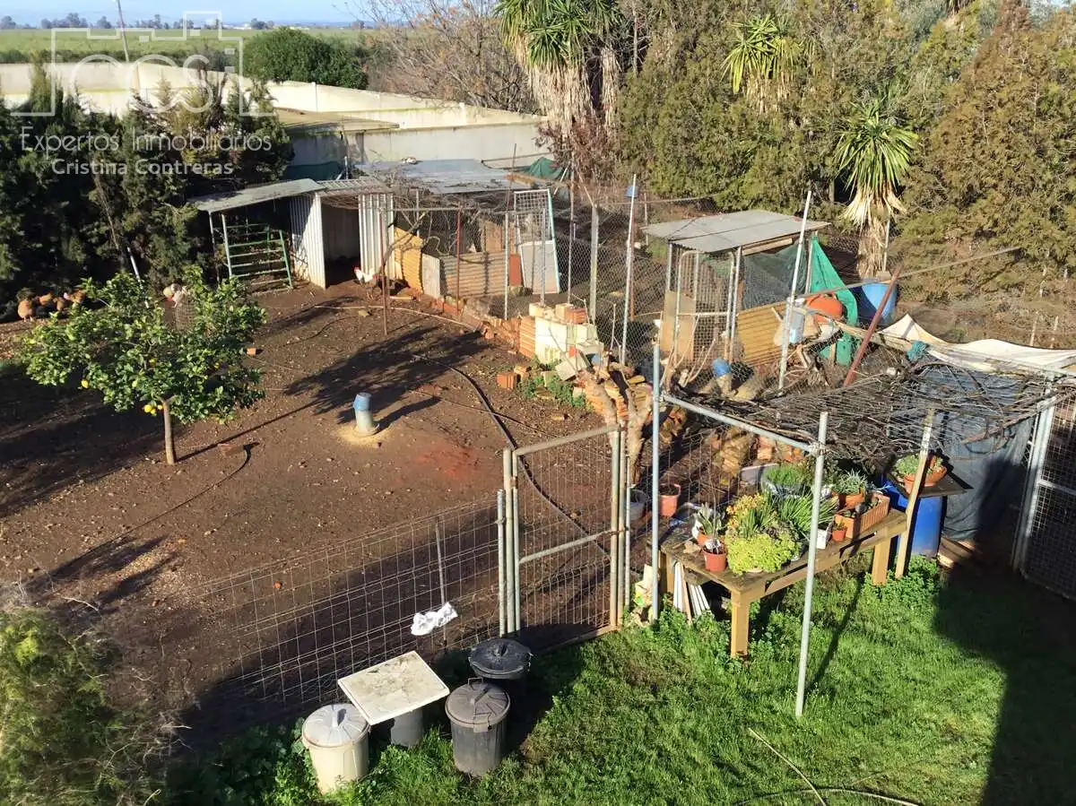 Jardí de Casa o xalet en venda en Sevilla amb Aire condicionat, Traster i Piscina