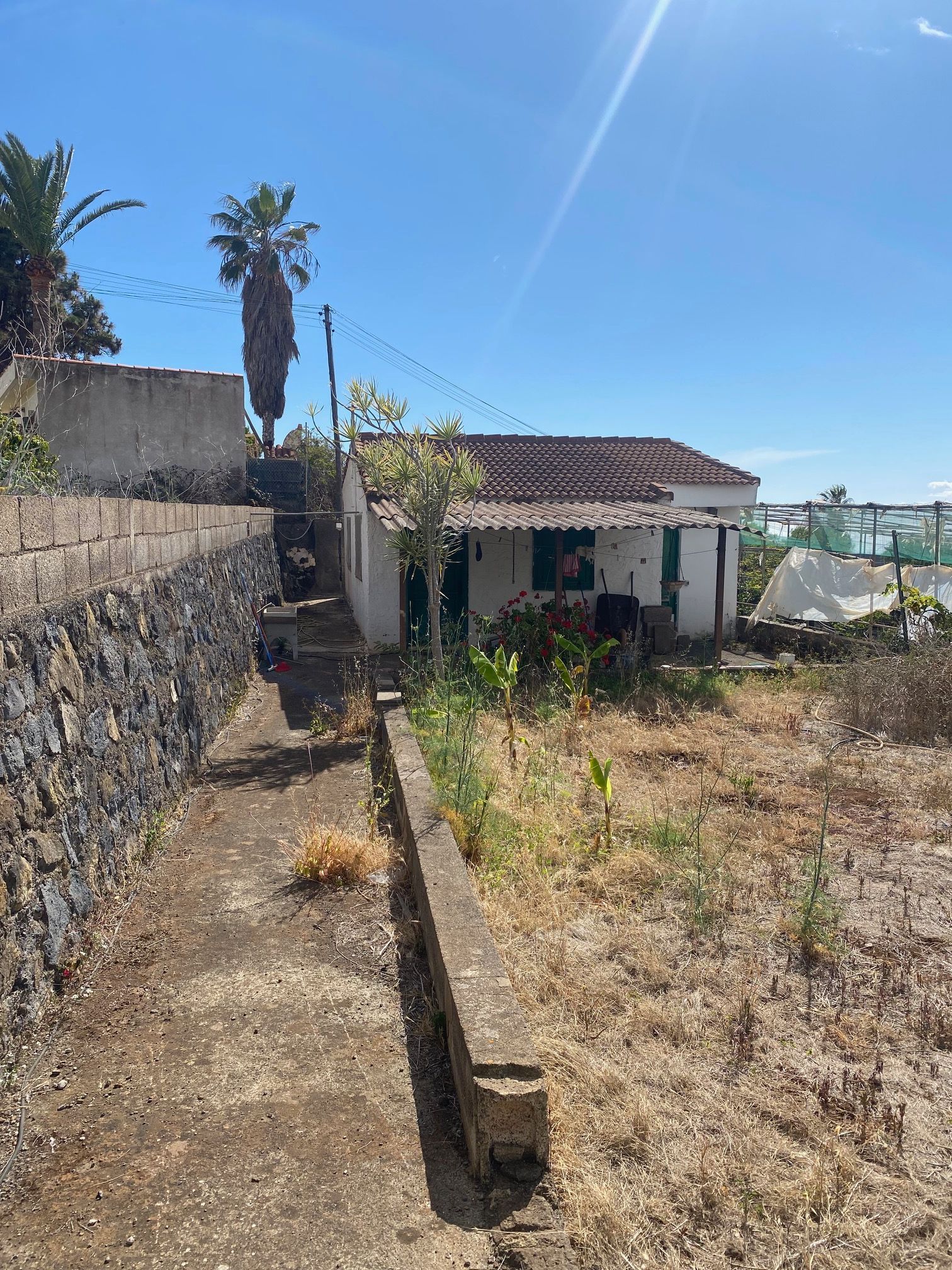 Exterior view of Land for sale in Tacoronte