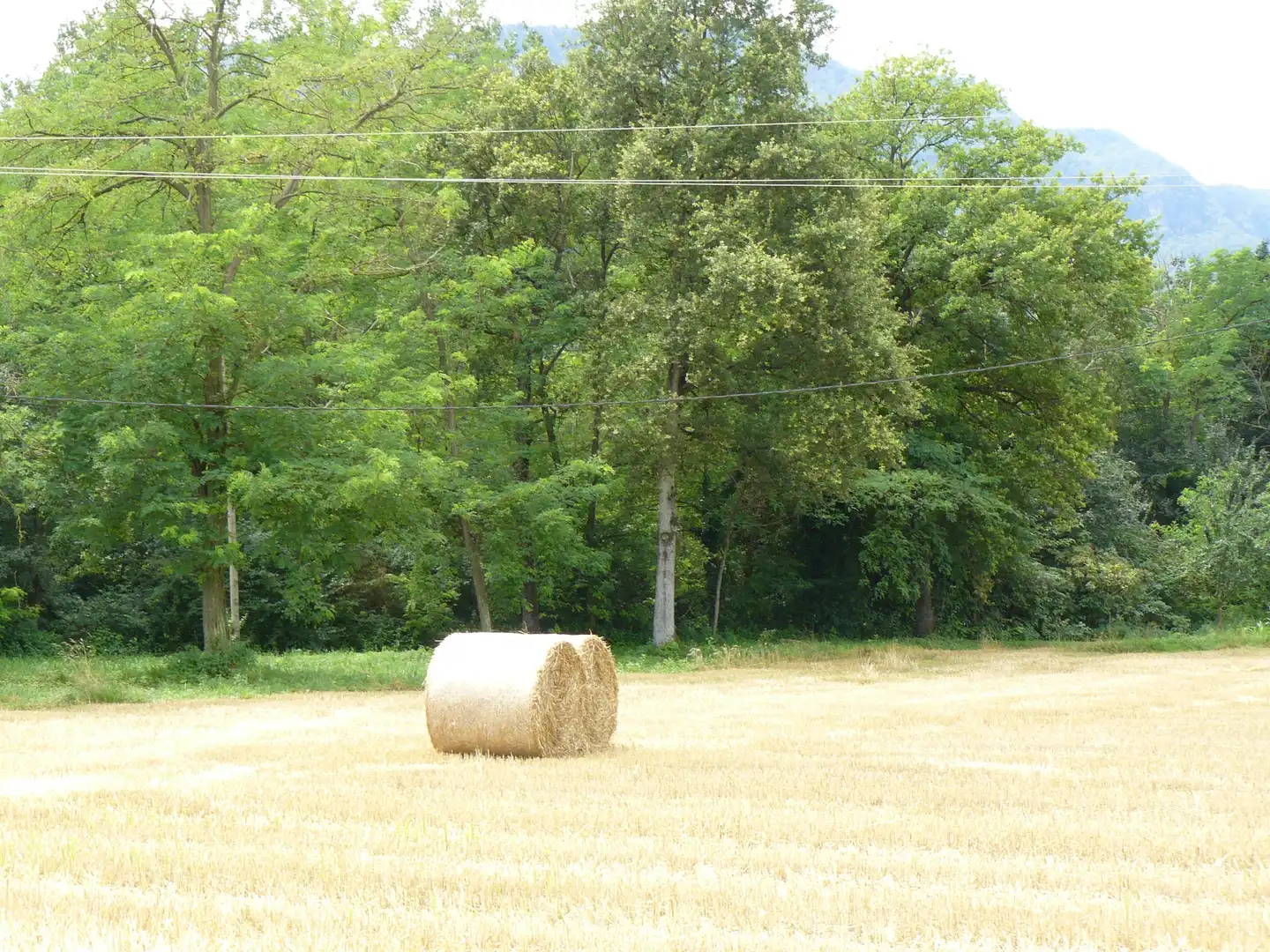 Maison rustique à vendre à La Vall d'en Bas, imagen 2