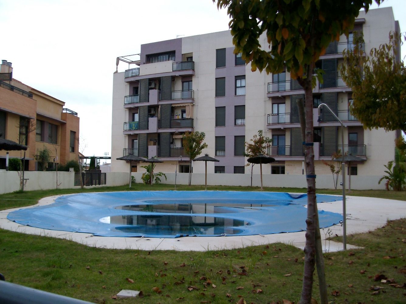 Piscina de Àtic de lloguer en Mairena del Aljarafe amb Aire condicionat, Calefacció i Jardí privat