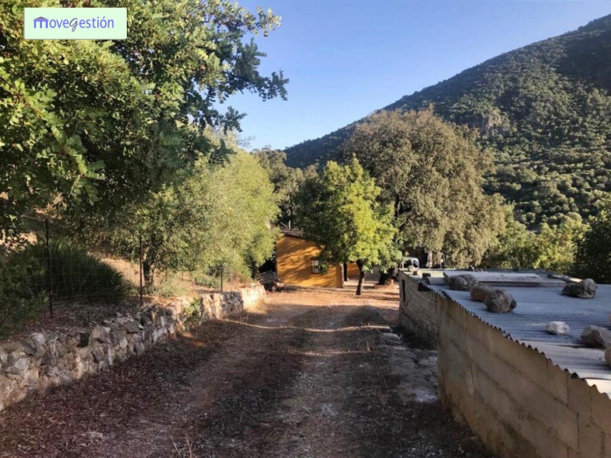 Vista exterior de Casa o xalet en venda en El Bosque amb Calefacció i Terrassa