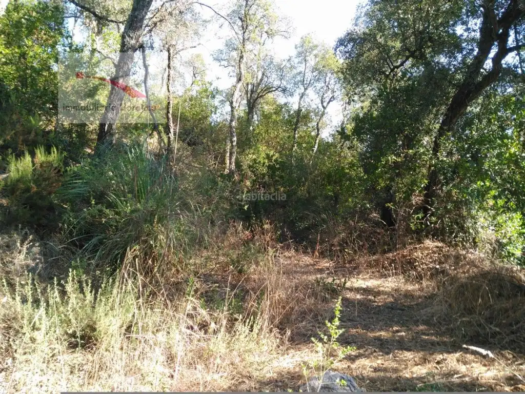 Terreny residencial en venda a Carrer la Serra Longa 59, imagen 4