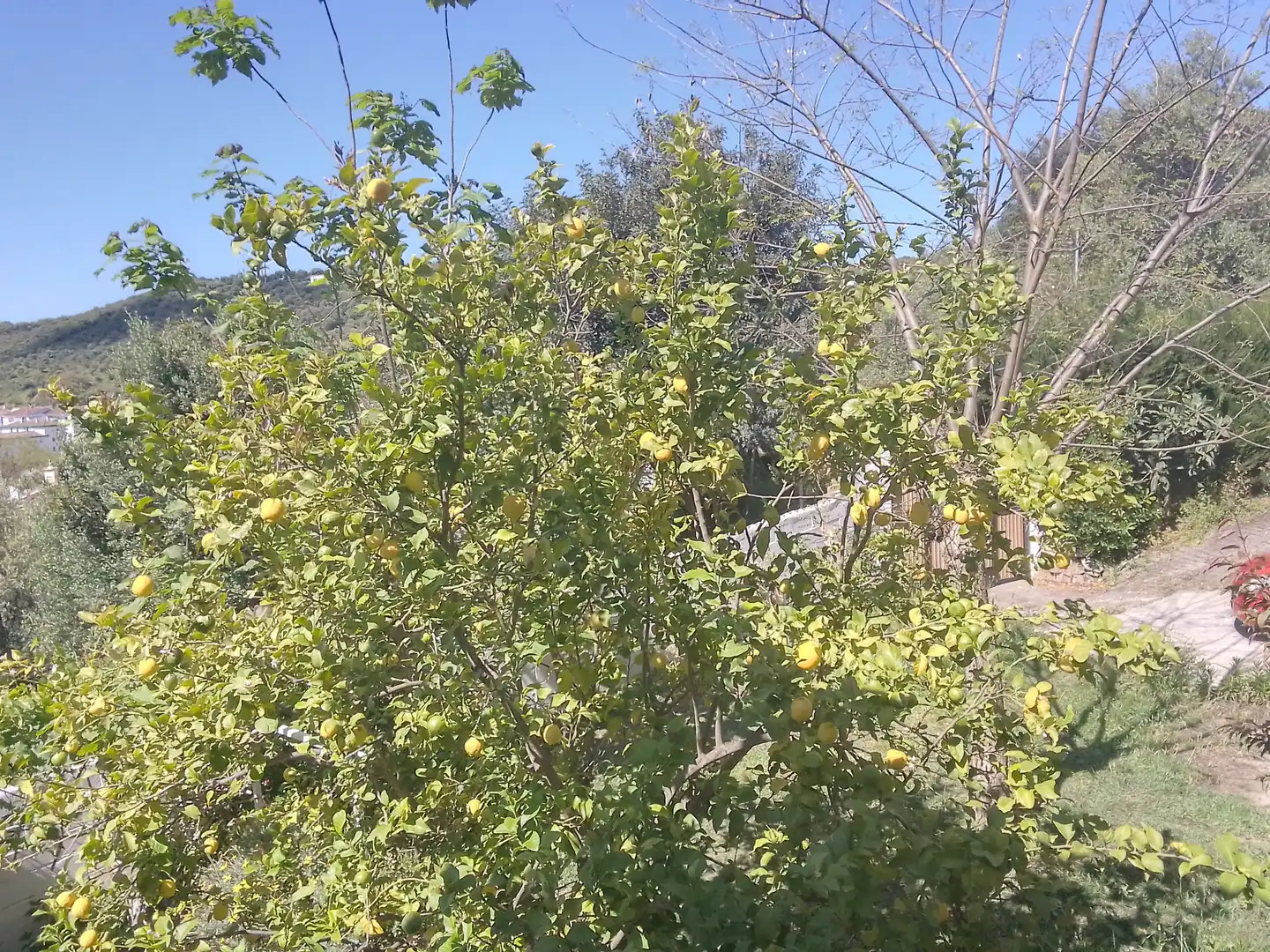 Houses for sale in Ubrique  with Private garden, Terrace and Balcony