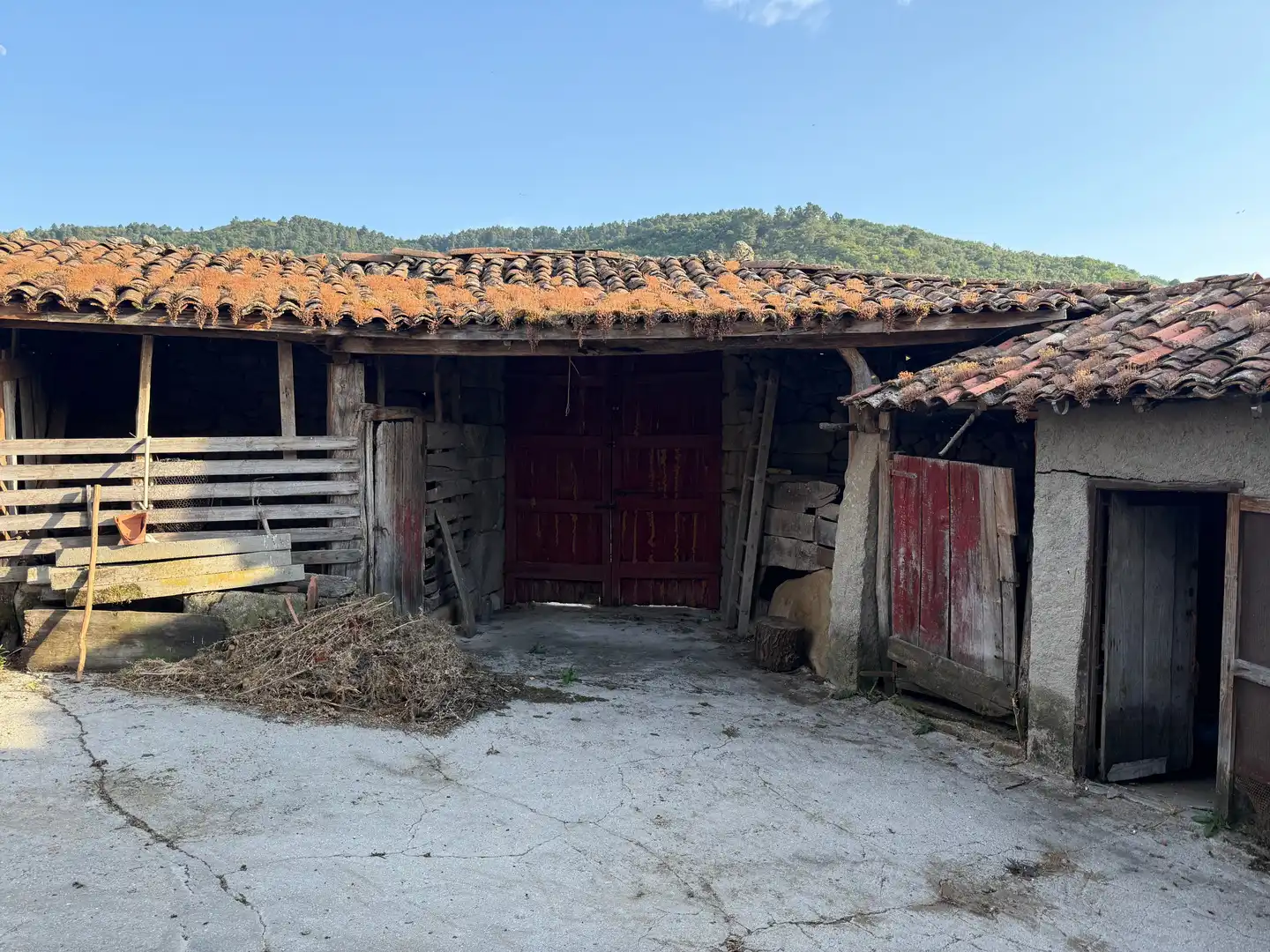 Exterior view of Houses for sale in Allariz, Ourense