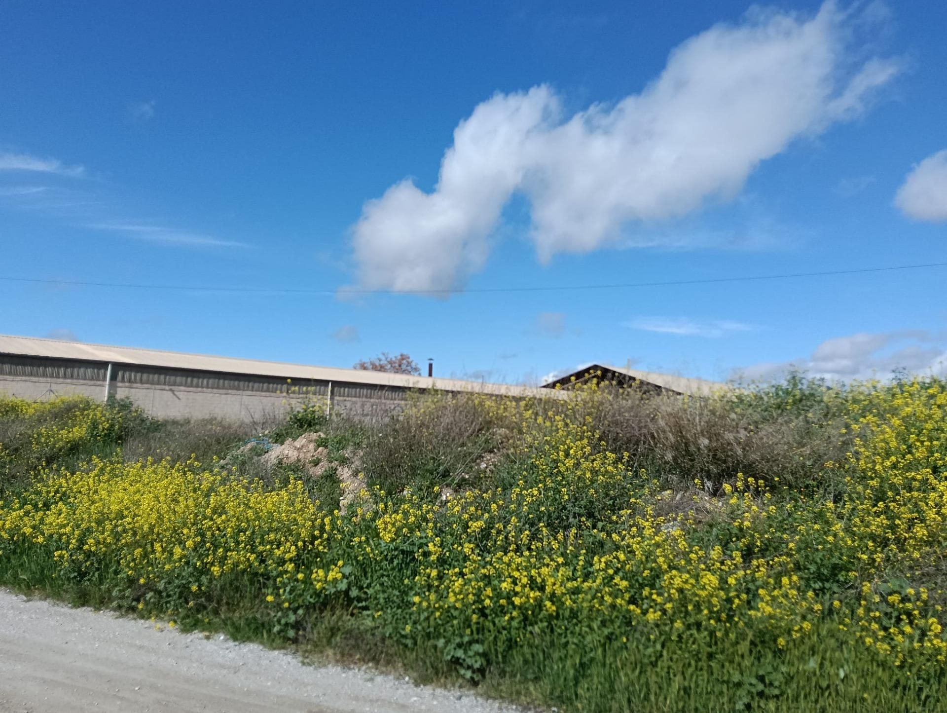 Außenansicht von Residential zum verkauf in Maracena