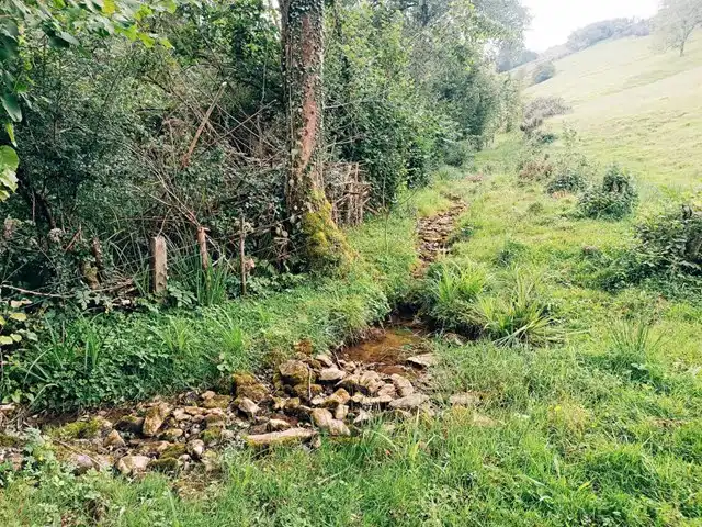 Terreno rustico in vendita a Proaza, imagen 37