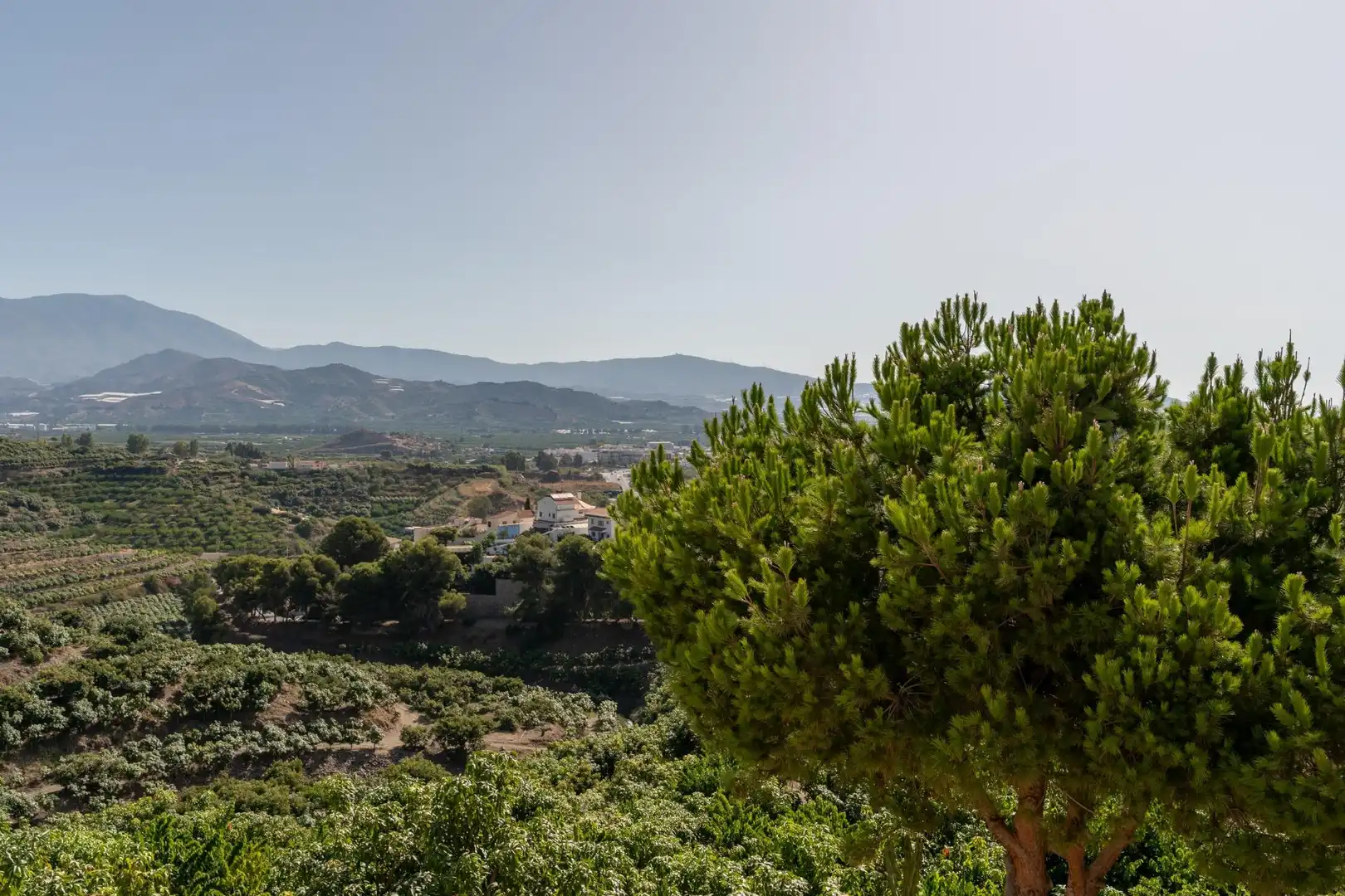 Detached house with terrace for sale in Calle Calle Naranjo, Monte de los Almendros, imagen 66