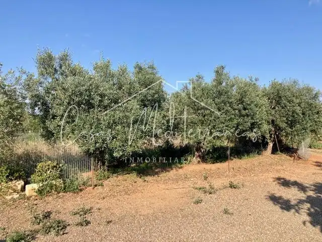 Country house for sale in Riudoms, imagen 5