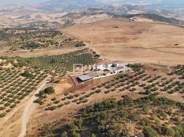 Residential land for sale in EL CURATO