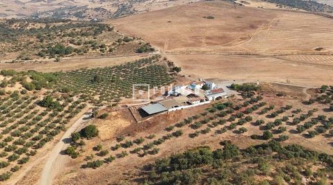 ENORME FINCA RÚSTICA CON AMPLIAS POSIBILIDADES  GANADERÍA ECOLÓGICA  AGRICULTURA SOSTENIBLE  TURISMO RURAL  CENTRO ECUESTRE EN AND