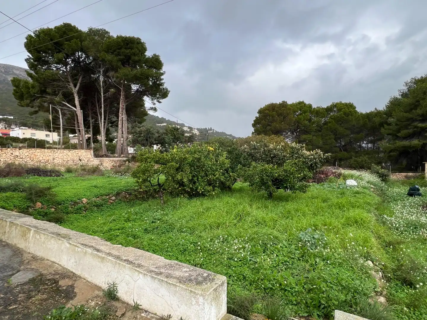 Houses for sale in Benicolada - Las Adelfas