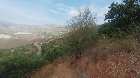 Foto 5 de Finca rústica en venta en Camino Guájar-faragüit, Los Guájares, Granada