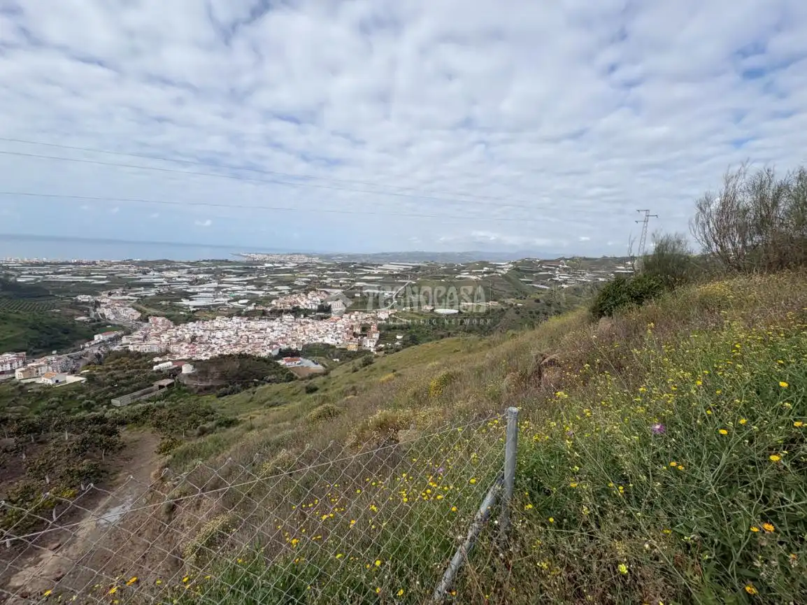 Terreny rústic en venda a Algarrobo pueblo