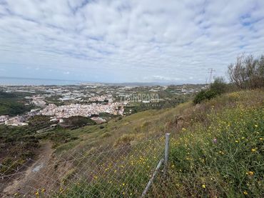 Terreny rústic en venda a Algarrobo pueblo
