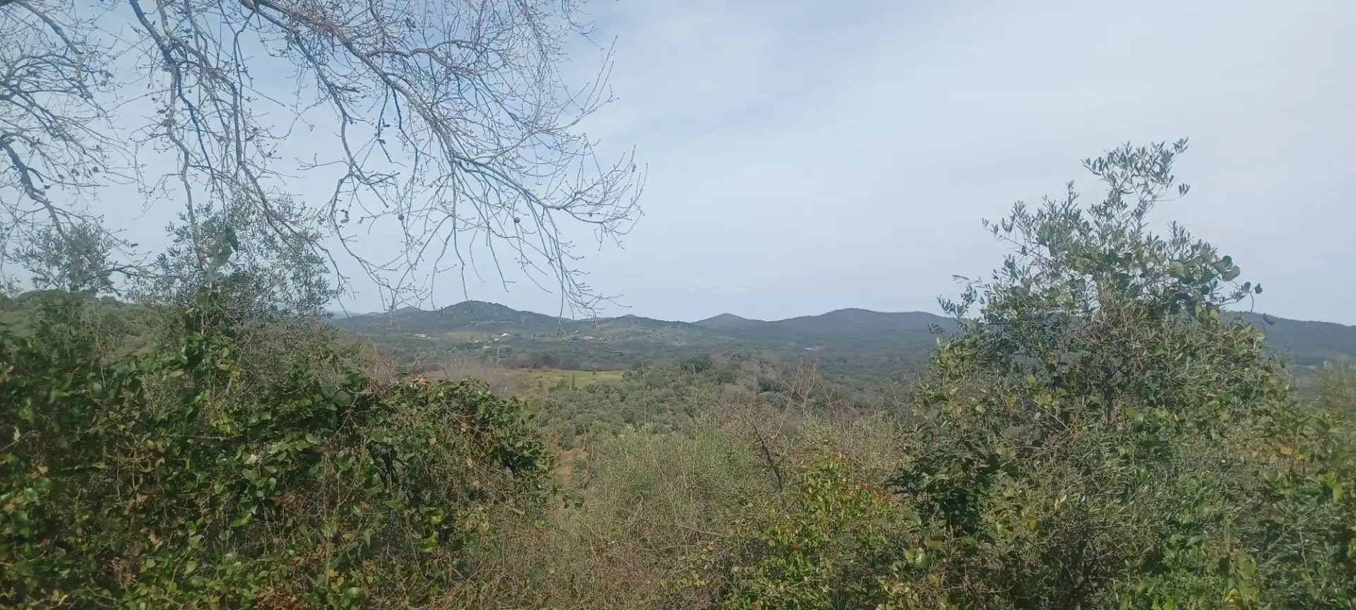 Terreni e lotti in vendita a Constantina, imagen 50