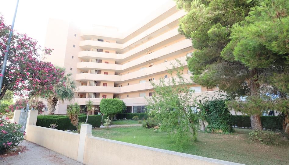 Photo 1 of Premises for sale in N/a, La Zenia, Alicante