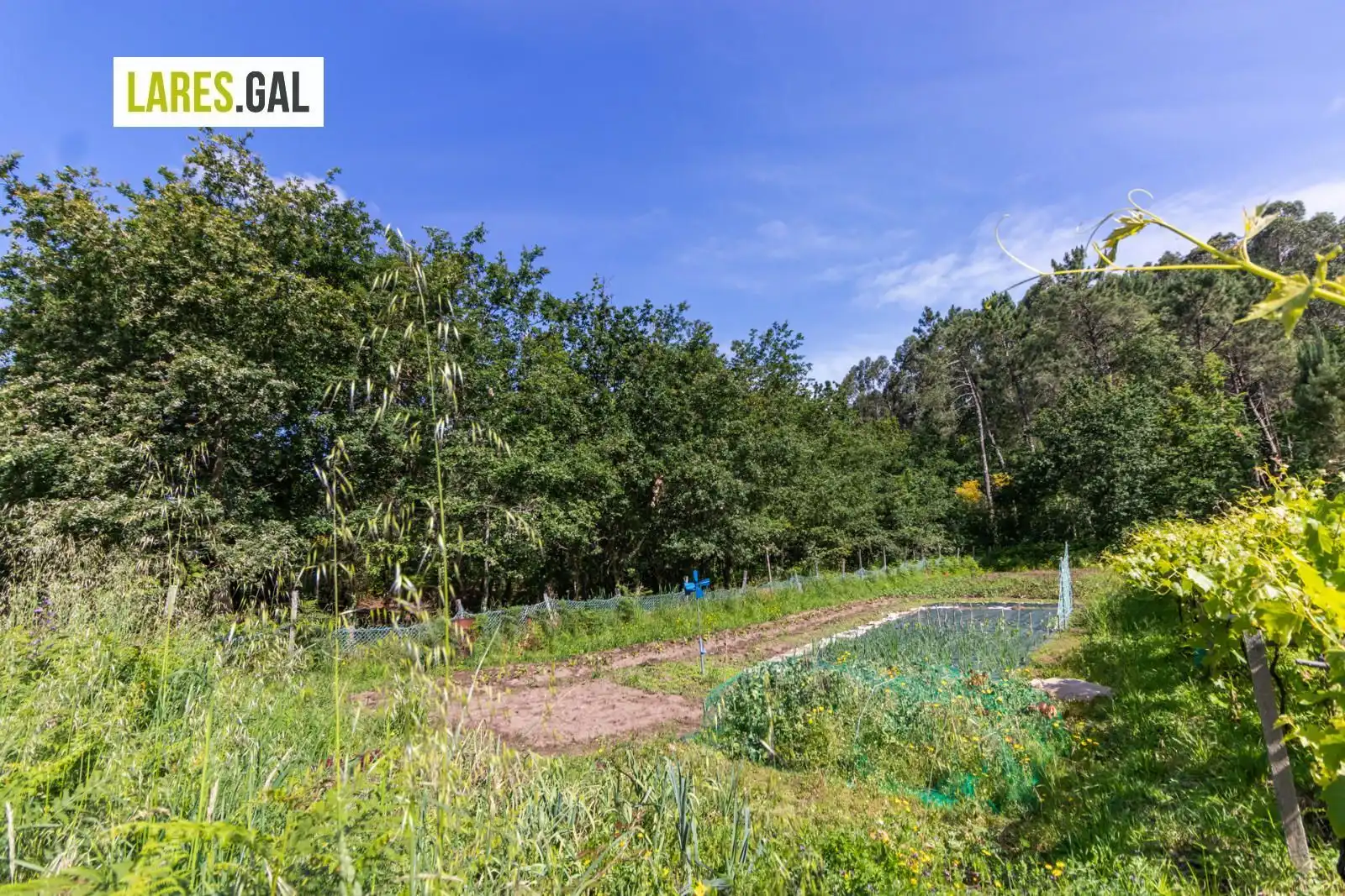 Lands and plots for sale in Rúa Herbello a Magdalena, imagen 3
