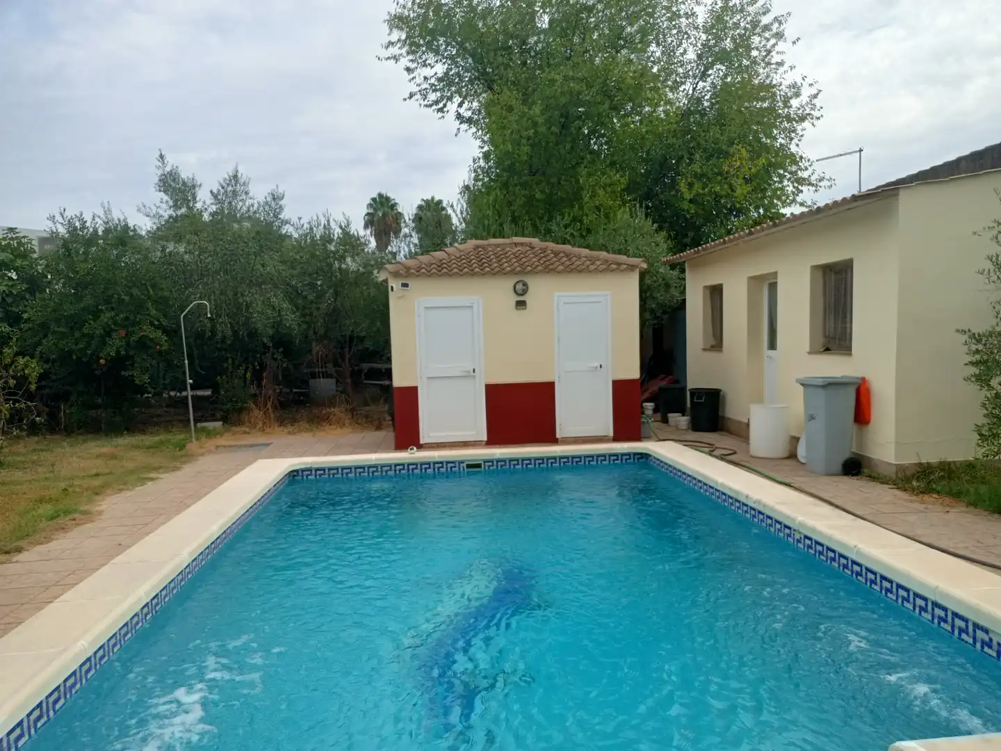 Piscina de Casa o xalet en venda en Poniente-Norte - Miralbaida - Parque Azahara