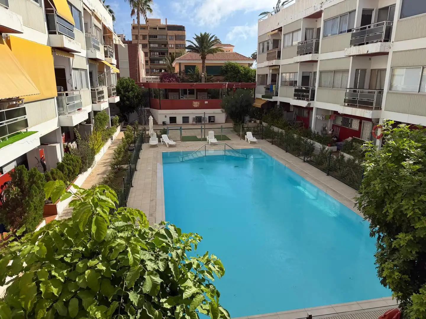 Swimming pool of Apartments for rent in Centro