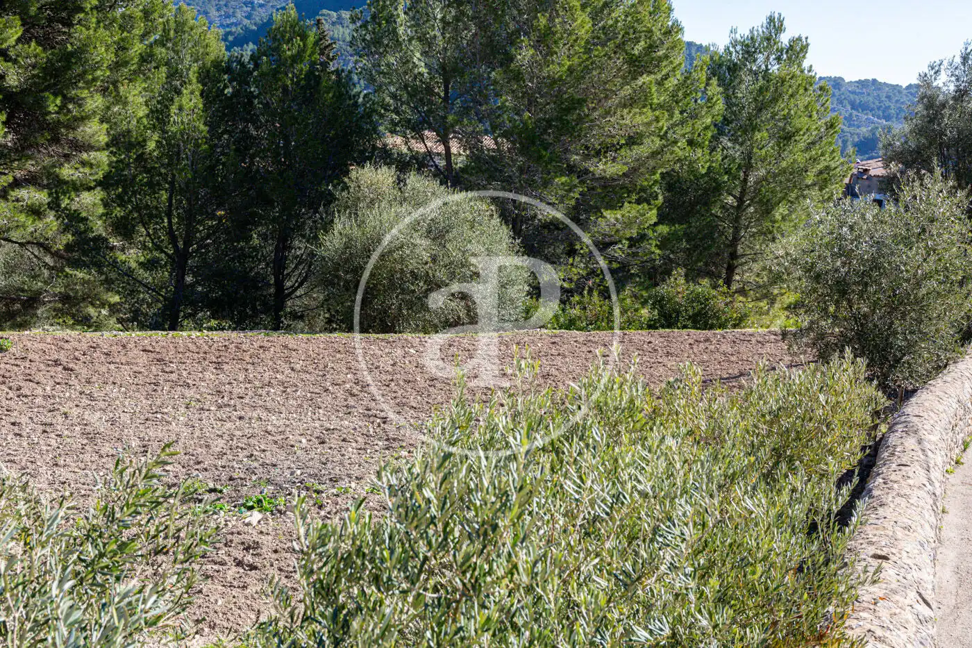 Residential for sale in Puigpunyent