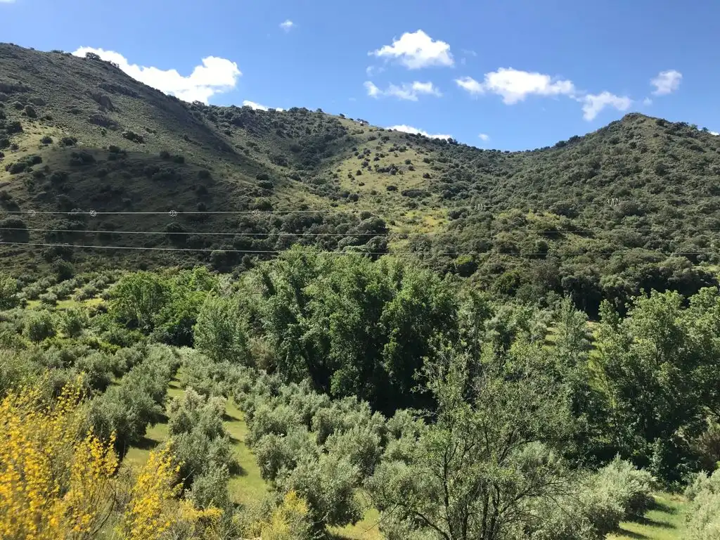 Terreny rústic en venda a Priego de Córdoba