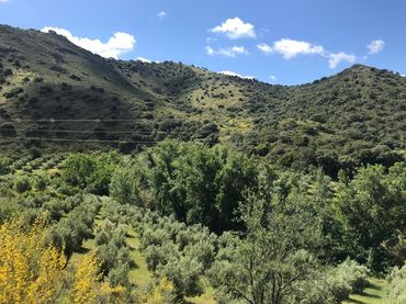 Terreno rustico in vendita a Priego de Córdoba