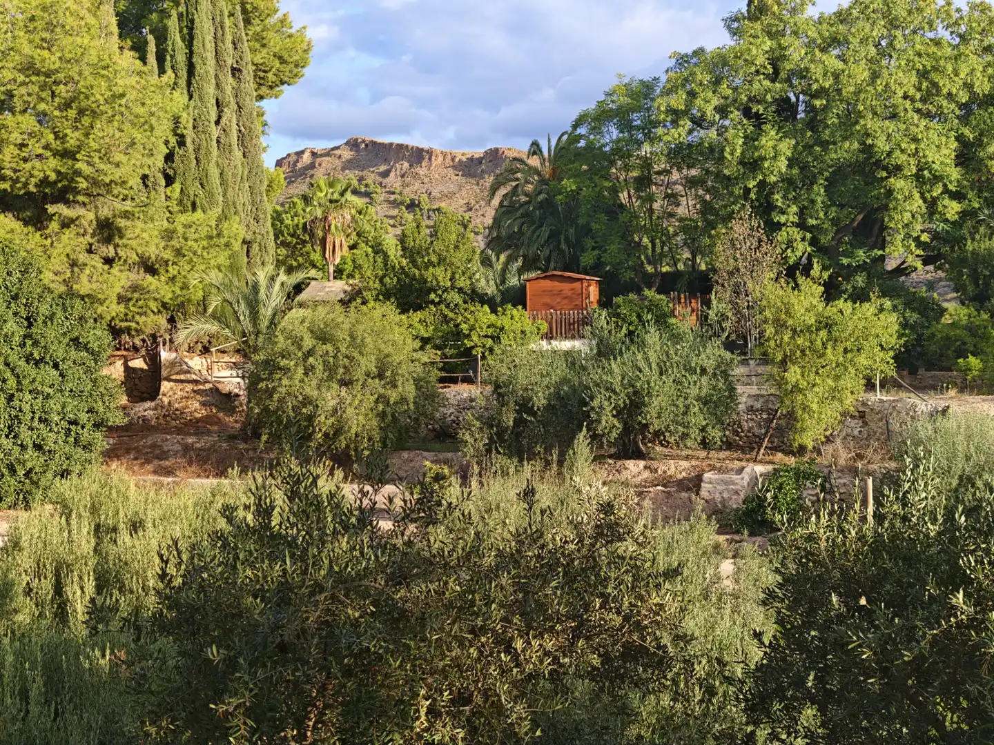 Villa avec piscine à vendre à Totana, imagen 49
