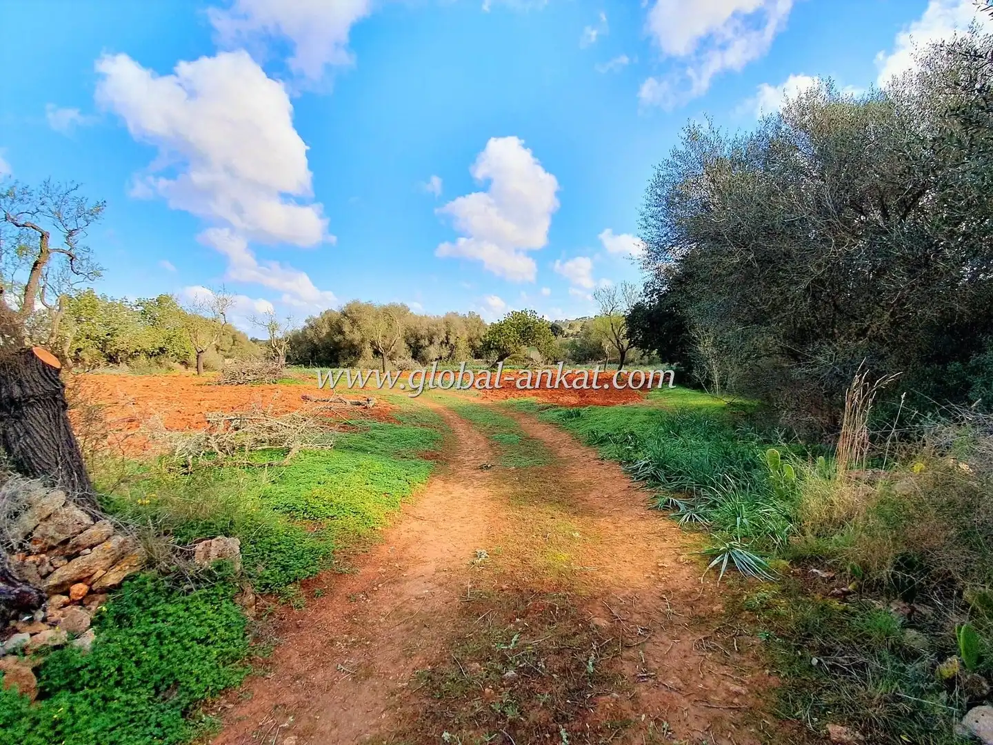 Maison rustique à vendre à Campos poble, imagen 18