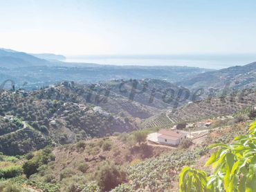 Terreno rustico in vendita a Torrox Pueblo