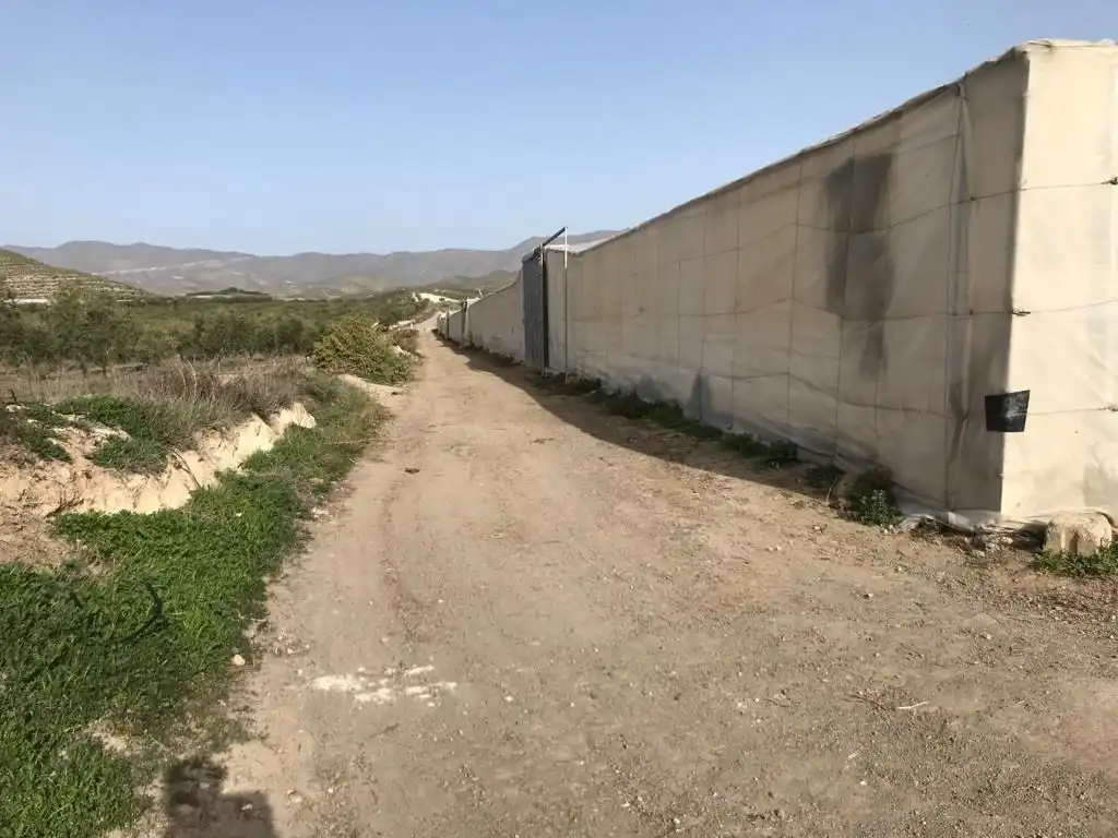 Terreny rústic en venda a Uleila del Campo, imagen 13