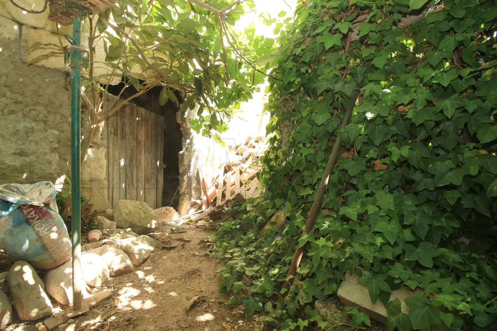 Vista exterior de Casa o xalet en venda en Sa Pobla amb Jardí privat