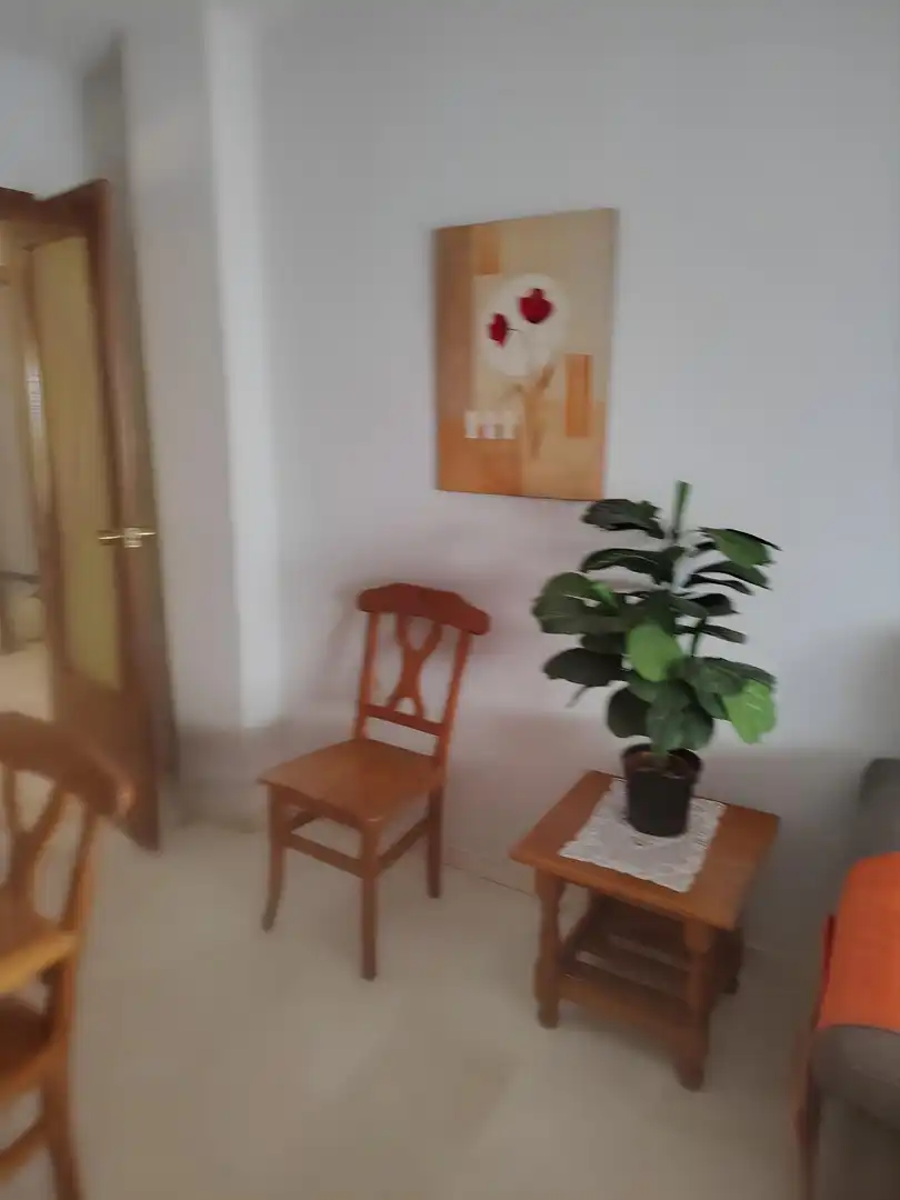 Flat with lift to rent in Calle NUEVA DE SAN ANTON, imagen 6