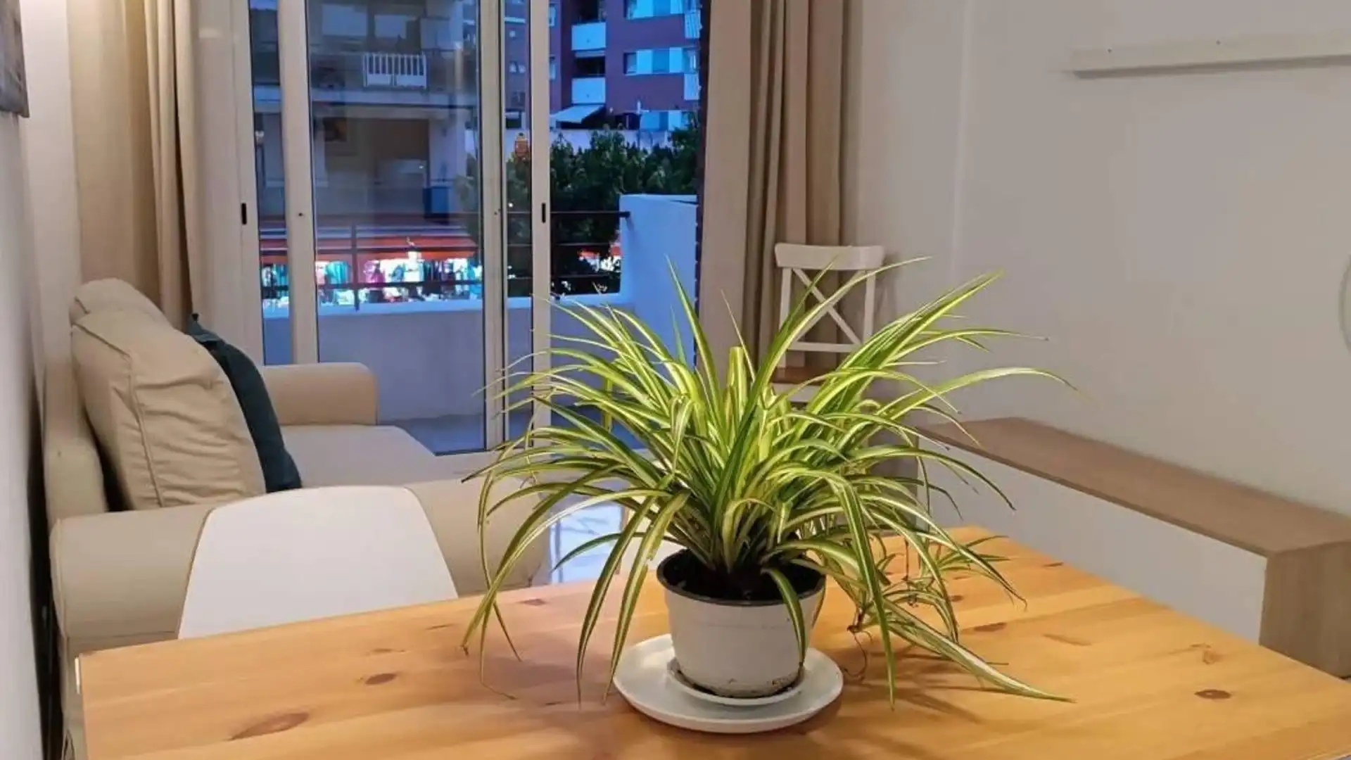 Flat for rent in Fenals