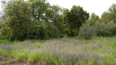 Photo 5 of Land for sale in Villaverde de Guadalimar, Albacete