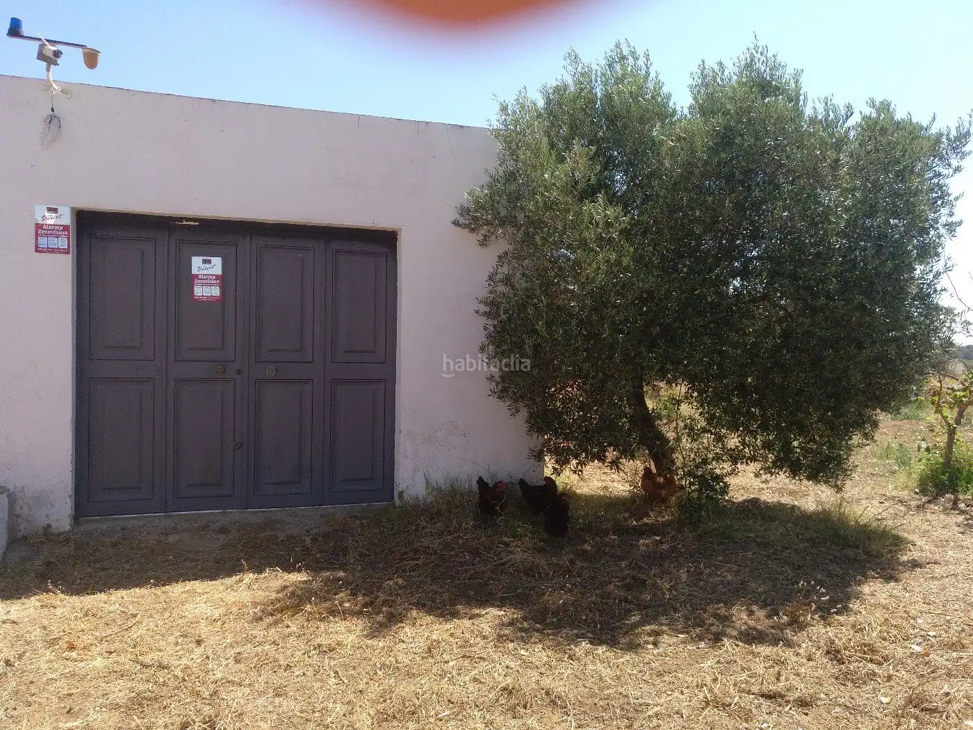 Terrenos y solares en venta en Finca la Calvilla 8, imagen 7