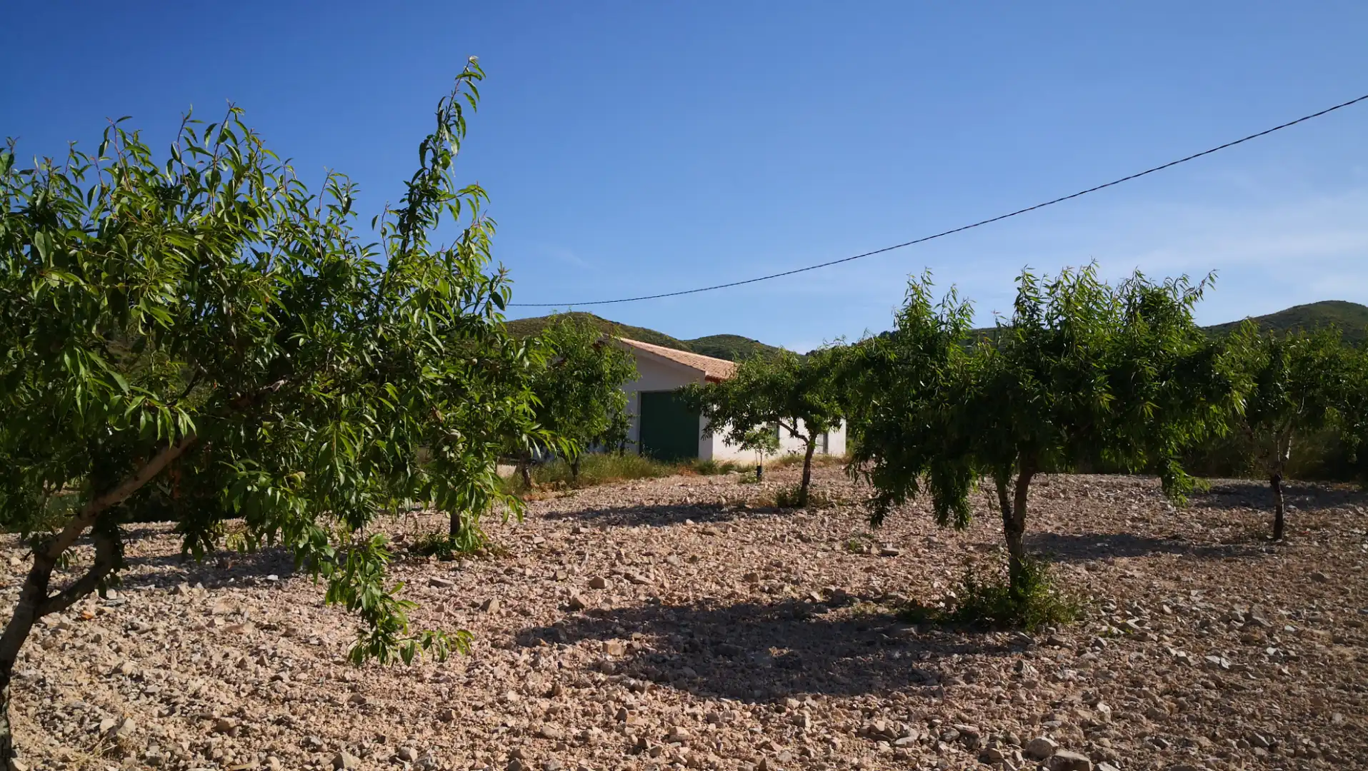 Casa rústica en venta en Pedanías Oeste, imagen 8