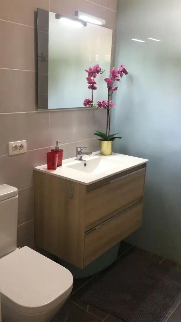 Bathroom of Flat for rent in Santa Cruz de Tenerife  with Terrace, Furnished and Oven
